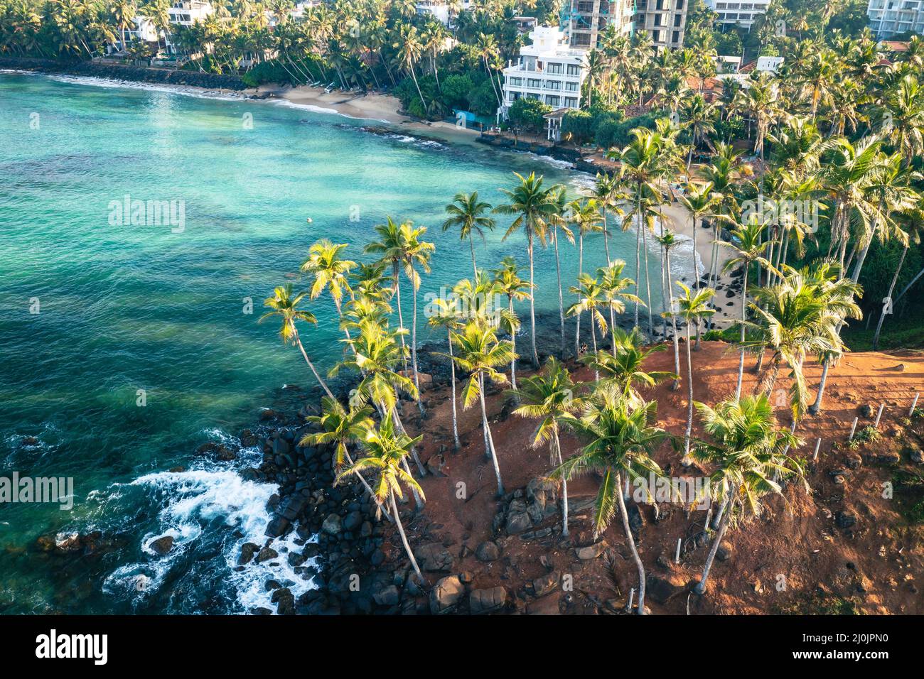 Coconut tree hill in Mirissa Beach. Sri Lanka. - Stock Image