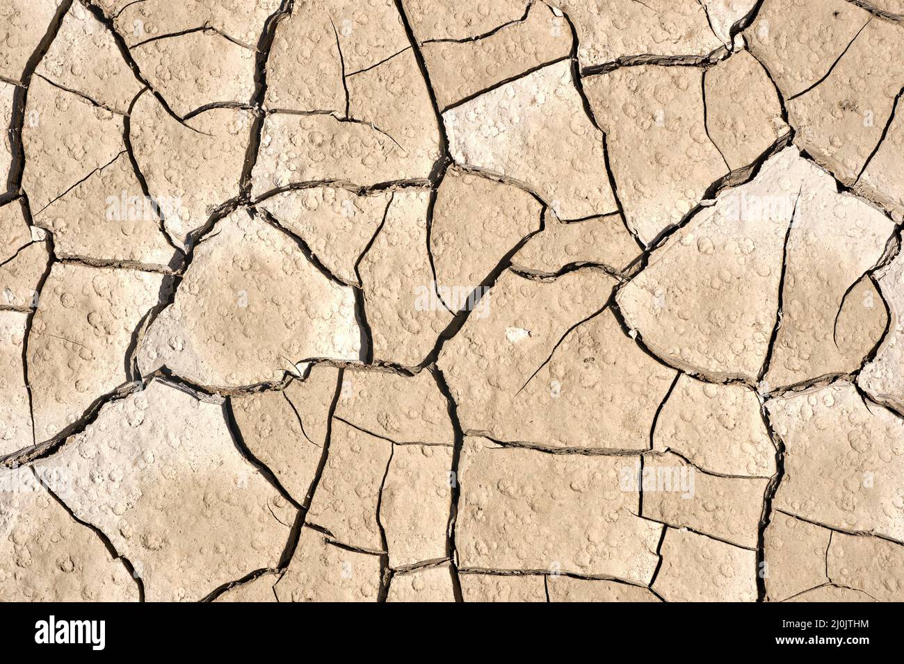 Background from beige cracked soil Stock Photo