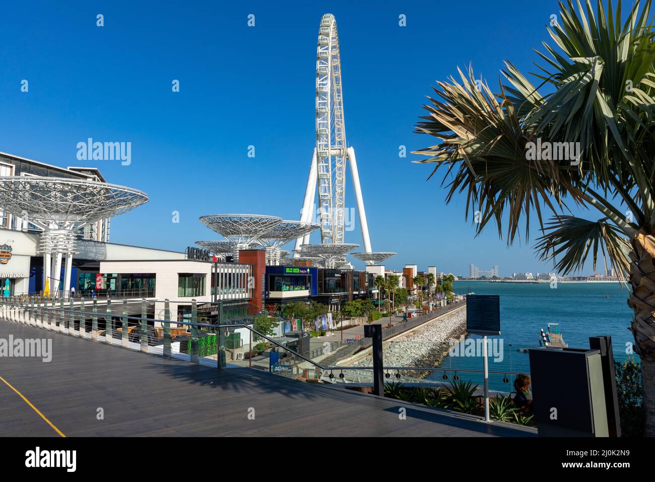 Dubai Eye or Al Ain, Bluewaters Island. United Arab Emirates. Middle