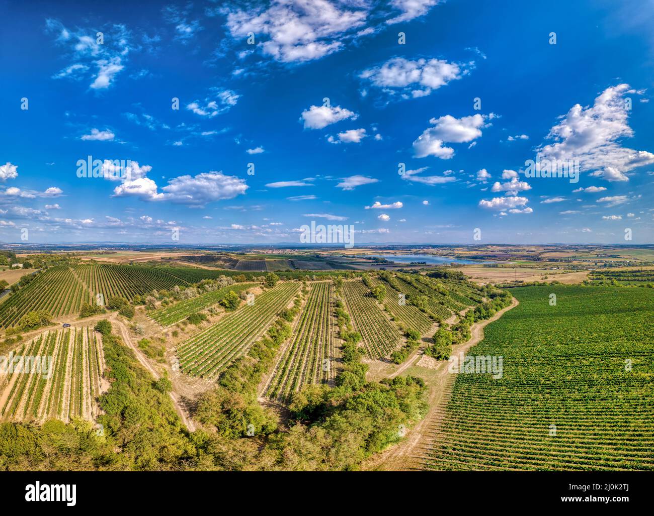 Vineyards in Palava, Czech Republic Stock Photo