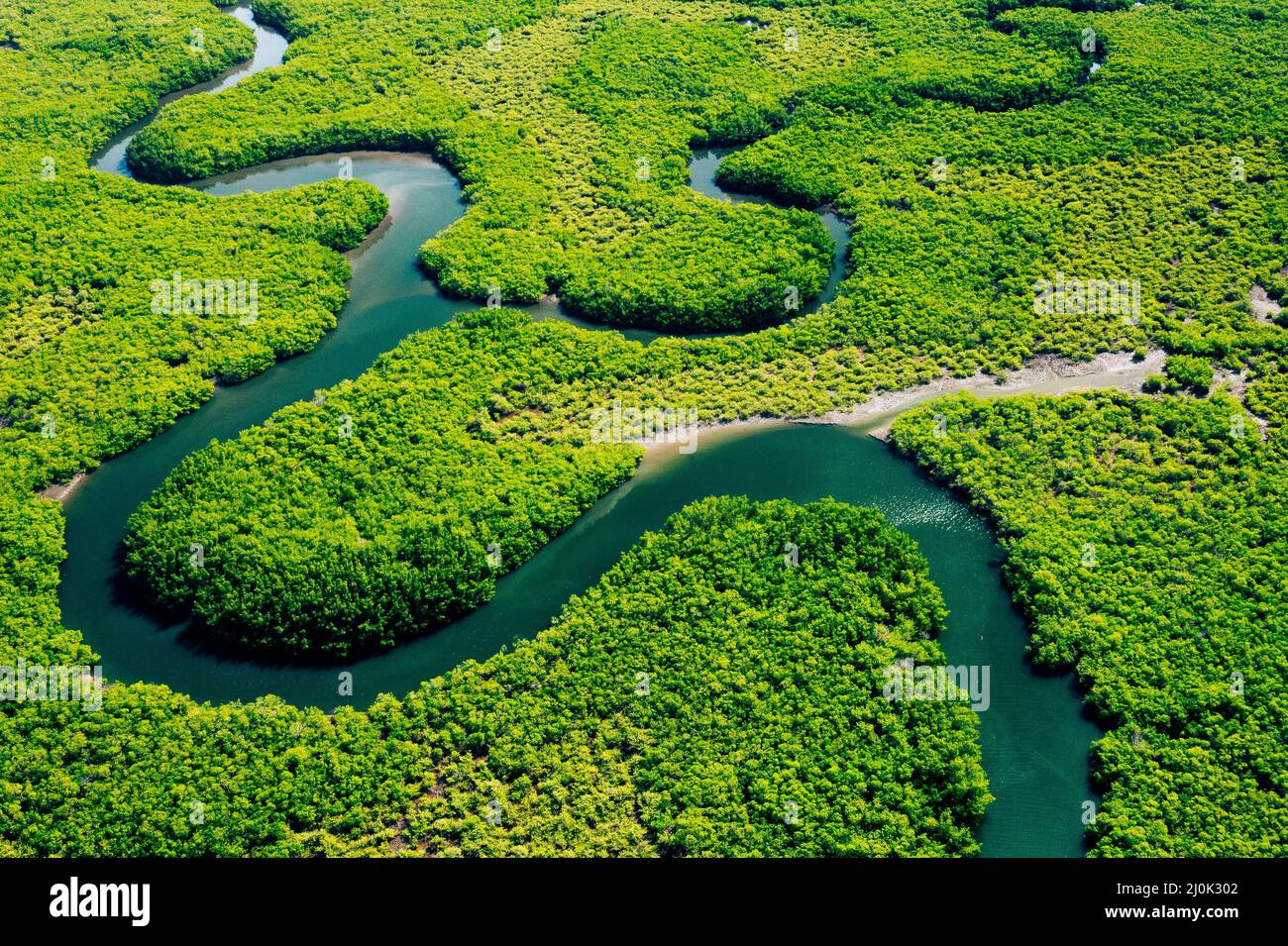 Ecosystem and Healthy Environment. Concepts and Nature Background. Tropical Rainforest. Aerial Top View. - Stock Image