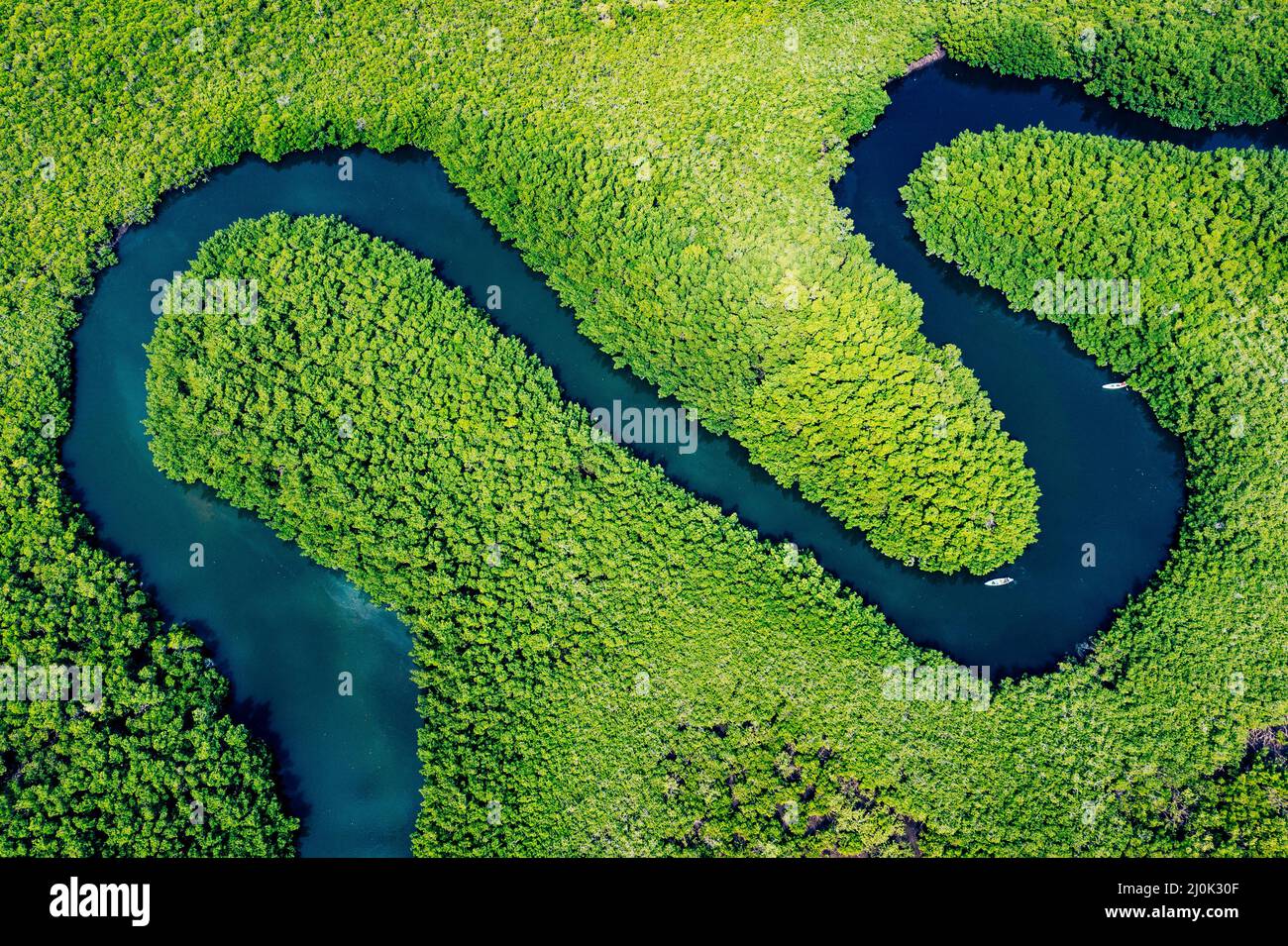 Ecosystem and Healthy Environment. Concepts and Nature Background. Tropical Rainforest. Aerial Top View. - Stock Image