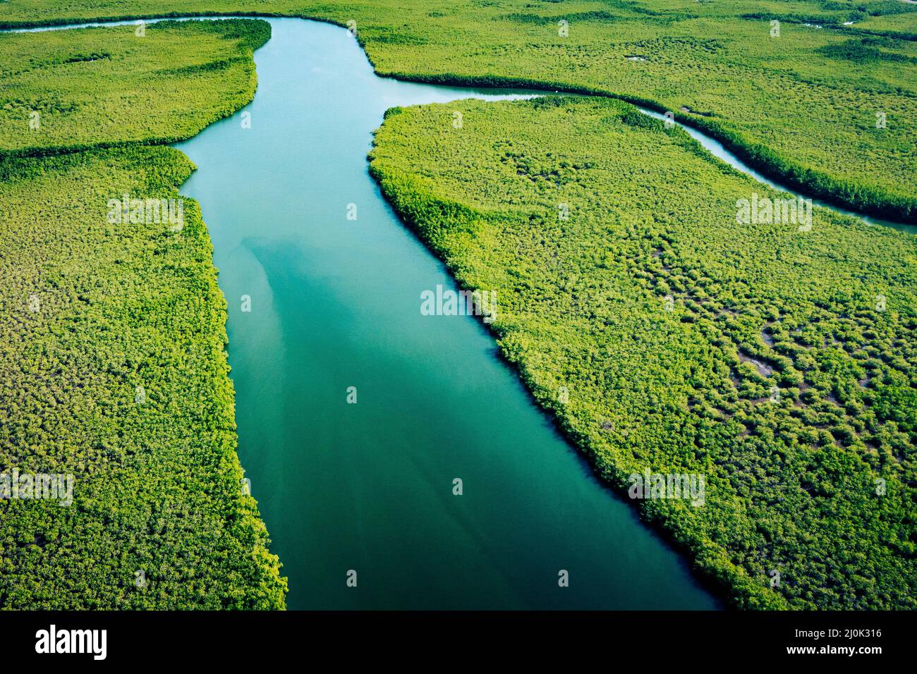 Ecosystem and Healthy Environment. Concepts and Nature Background. Tropical Rainforest. Aerial Top View. - Stock Image