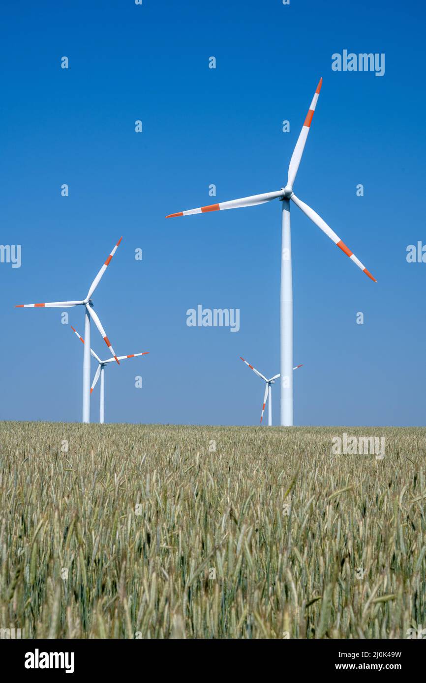 Wind energy turbines in a grainfield seen in Germany Stock Photo