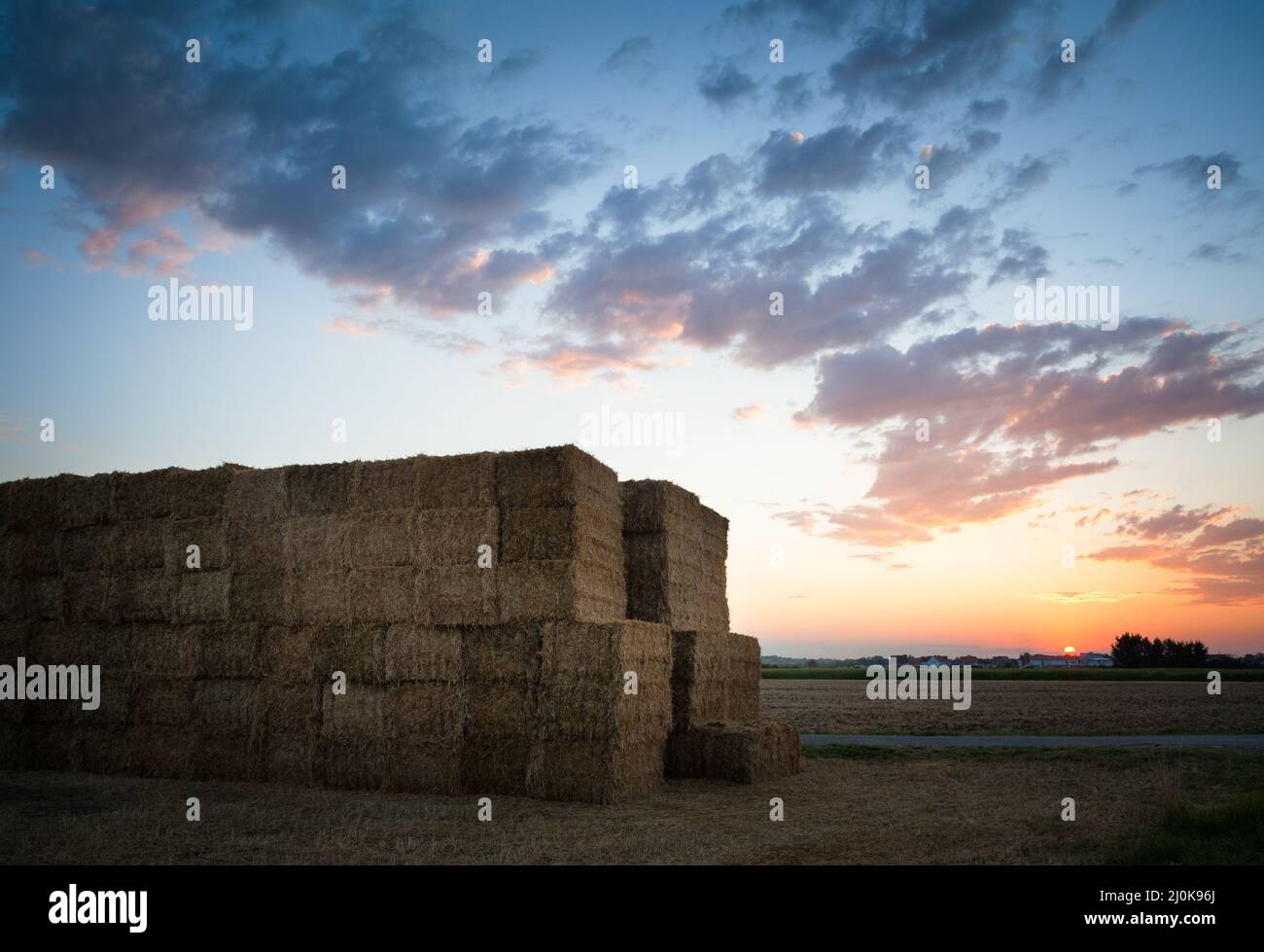 Hale bales piled up in a farmland in the countryside, blue sky, copy space Stock Photo