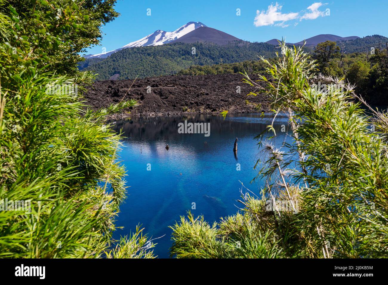 Lanin volcano chile hi-res stock photography and images - Alamy