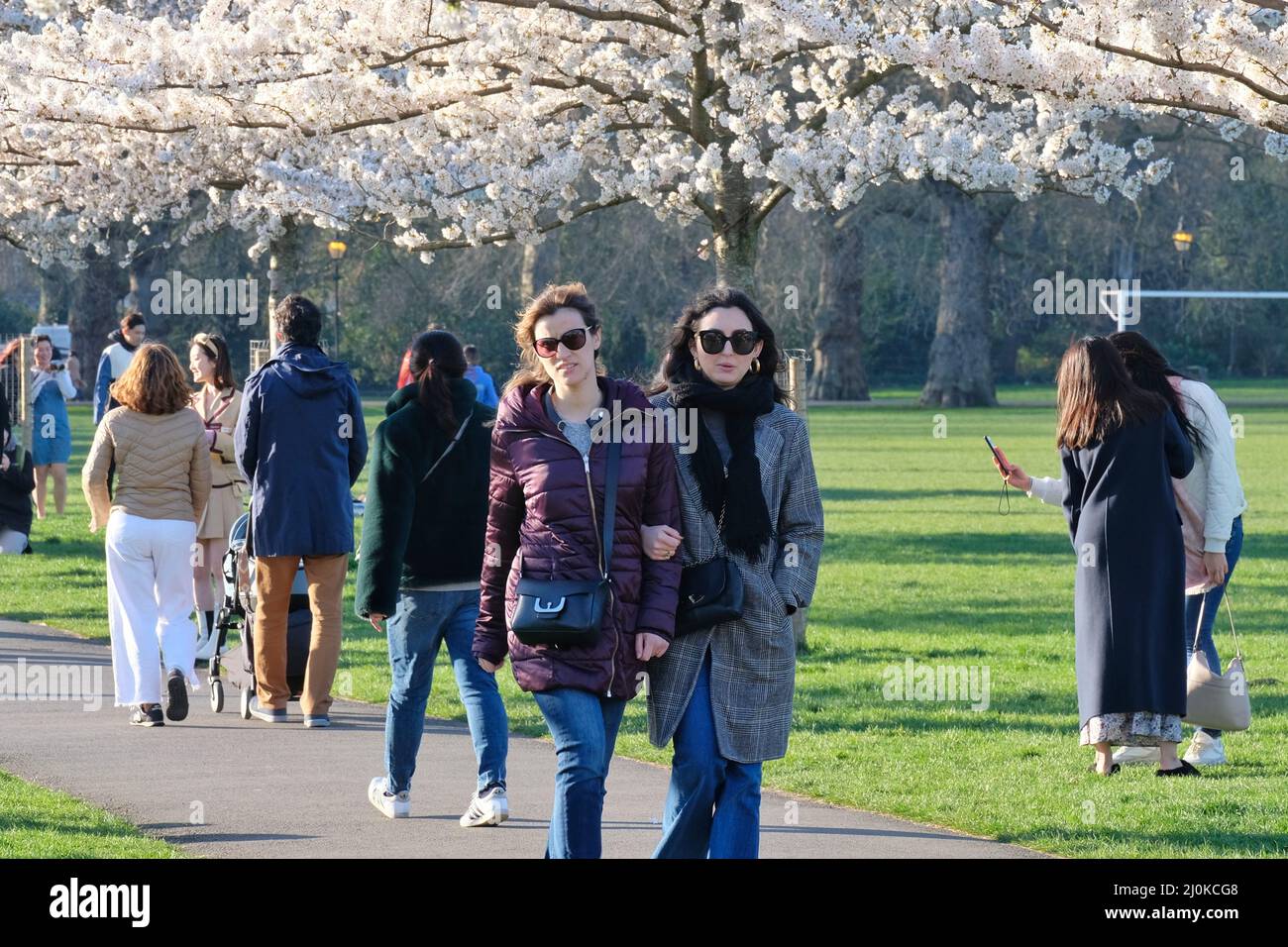 London, UK, 19th Mar, 2022. Visitors took photos and arranged photoshoots on a bright and sunny day as a cherry blossom-lined walk in Battersea Park comes into full bloom. Mainly East Asian people were visiting the area, with the blossom highly cherished in various nations, especially in Japan, where it is symbolic of spring and represents the fleeting nature of life since the flowers are short-lived. Credit: Eleventh Hour Photography/Alamy Live News Stock Photo