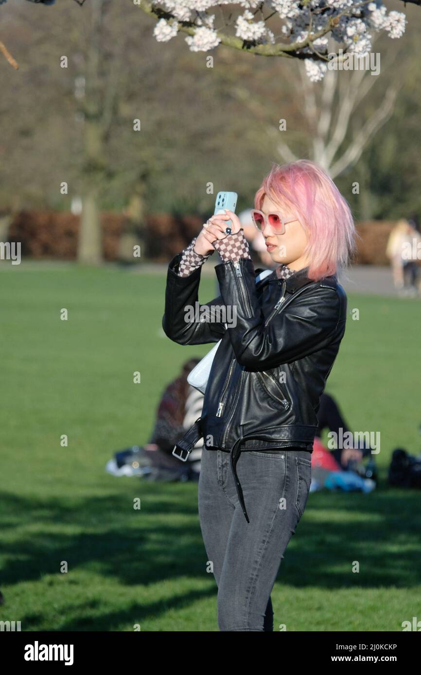 London, UK, 19th Mar, 2022. Visitors took photos and arranged photoshoots on a bright and sunny day as a cherry blossom-lined walk in Battersea Park came into bloom. Mainly East Asian people were visiting the area, with the blossom highly cherished across various countries, especially in Japan, where it is symbolic of spring and represents the fleeting nature of life as the flowers are short-lived. Credit: Eleventh Hour Photography/Alamy Live News Stock Photo