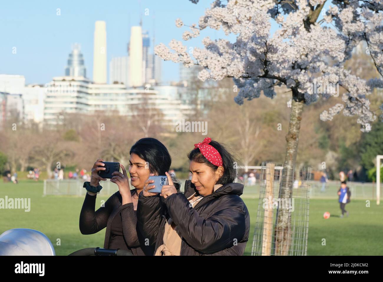 London, UK, 19th Mar, 2022. Visitors took photos and arranged photoshoots on a bright and sunny day as a cherry blossom-lined walk in Battersea Park came into bloom. Mainly East Asian people were visiting the area, with the blossom highly cherished across various countries, especially in Japan, where it is symbolic of spring and represents the fleeting nature of life as the flowers are short-lived. Credit: Eleventh Hour Photography/Alamy Live News Stock Photo