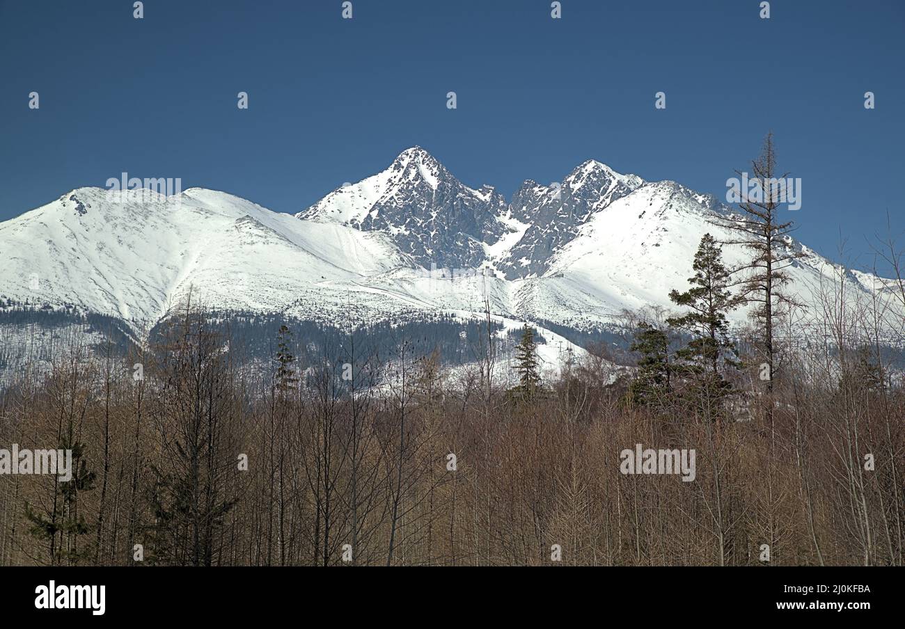 Picture of Lomnicky peak in High Tatras during winter time, TANAP, Slovakia Stock Photo