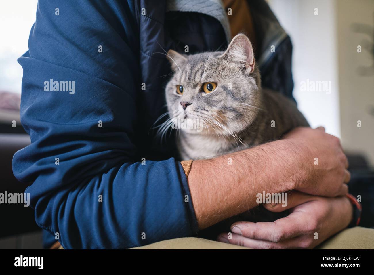 Man wearing protective mask with pet waiting in lobby for medical examination at veterinary clinic. Animal health. Owner of gray Stock Photo