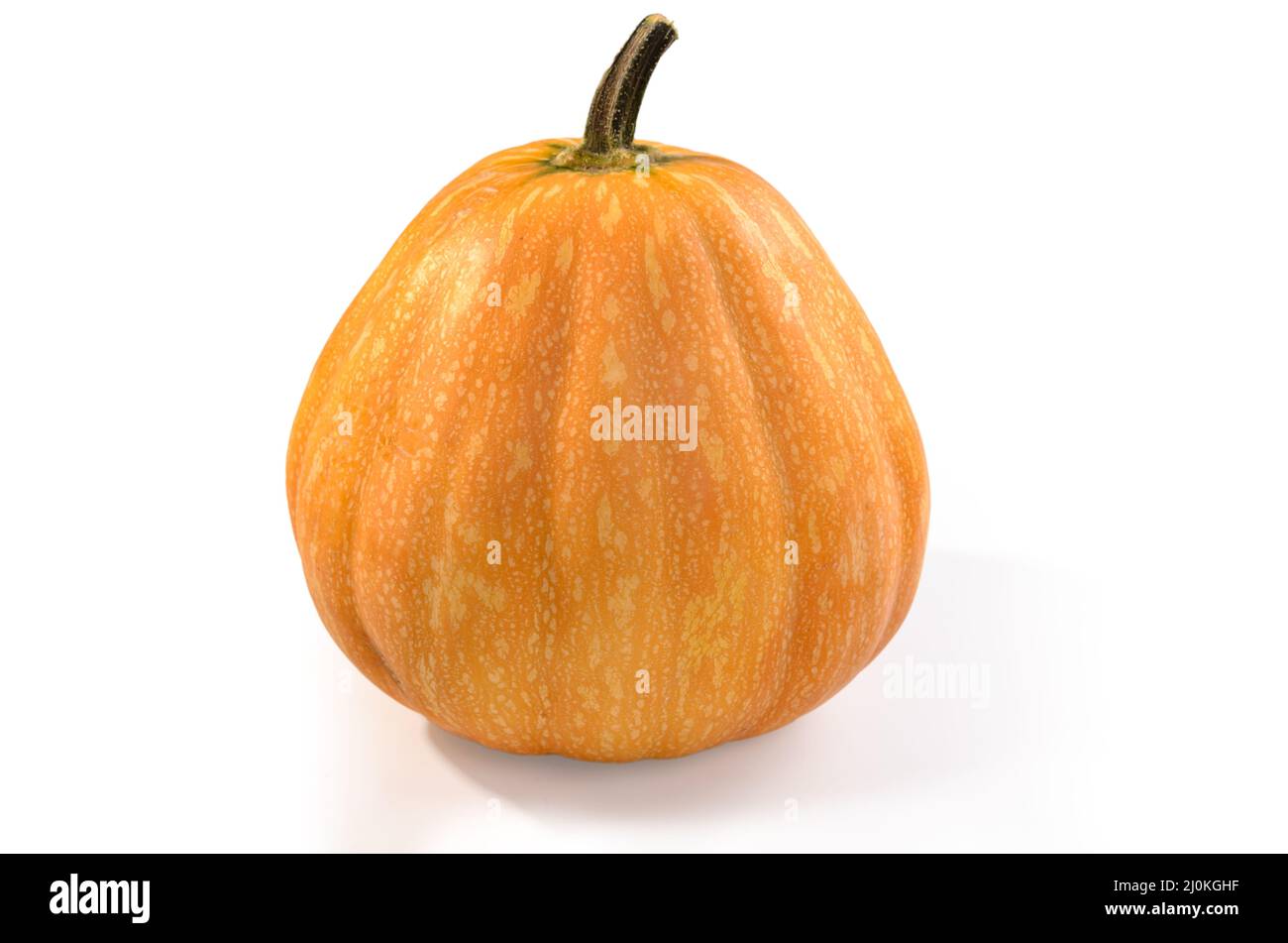 Pumpkin on white background with soft shadow Stock Photo