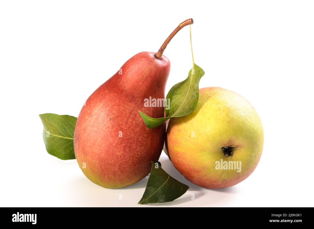Pears on white background with soft shadow Stock Photo