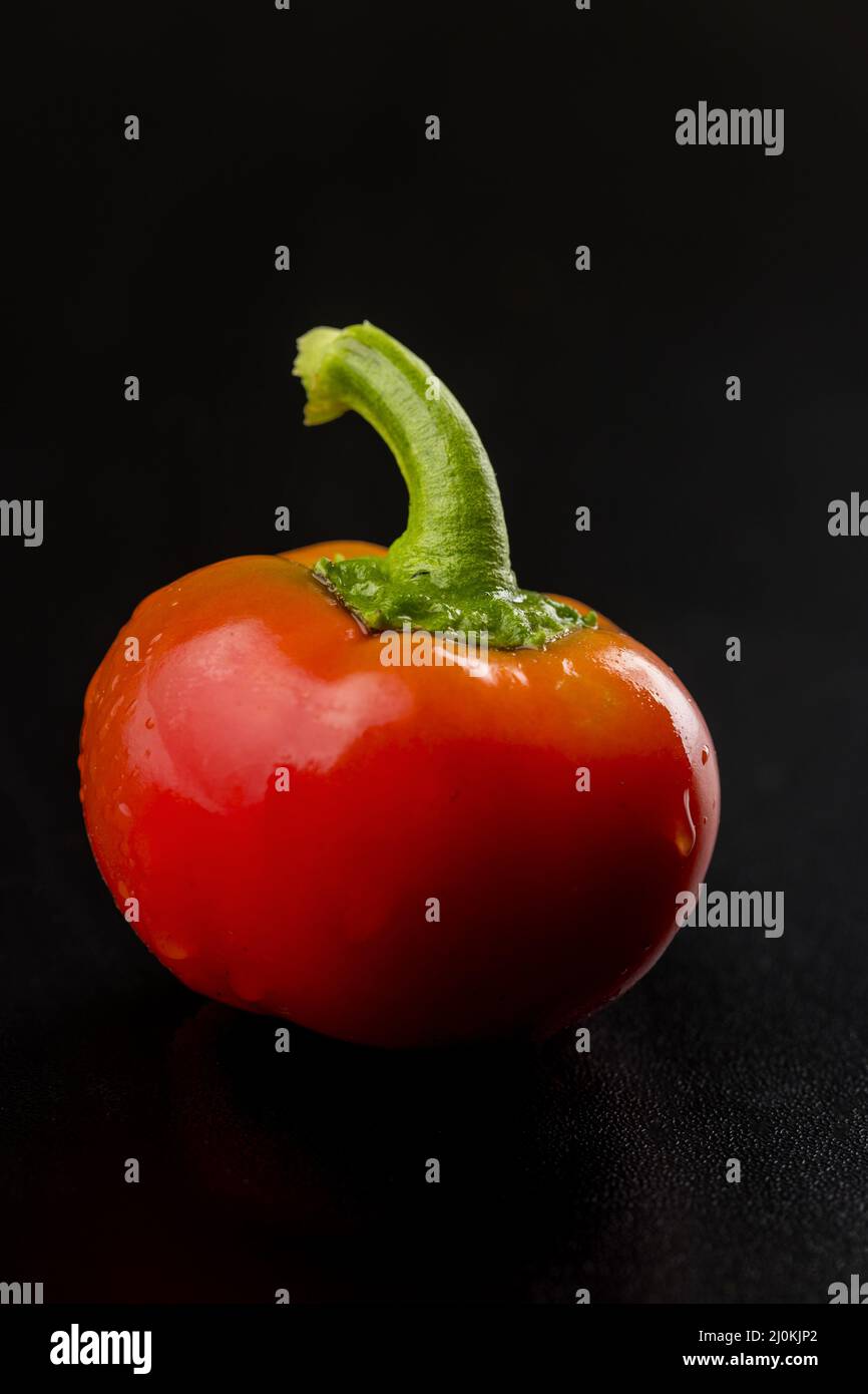 Single chili pepper on black Stock Photo