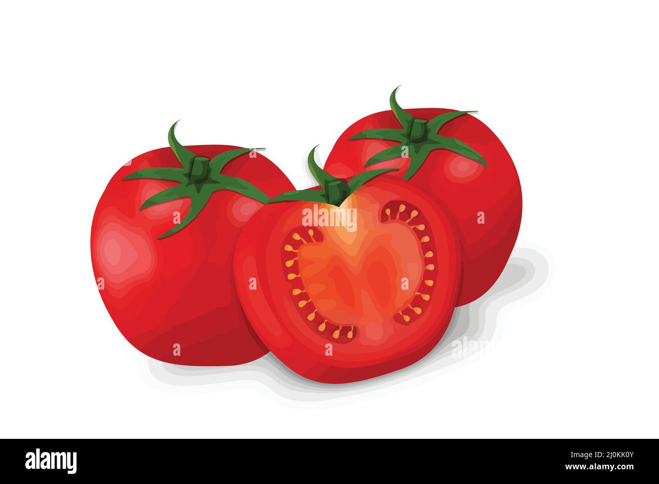 Red fresh tomatoes with green stems isolated on white background, vector illustration Stock Vector