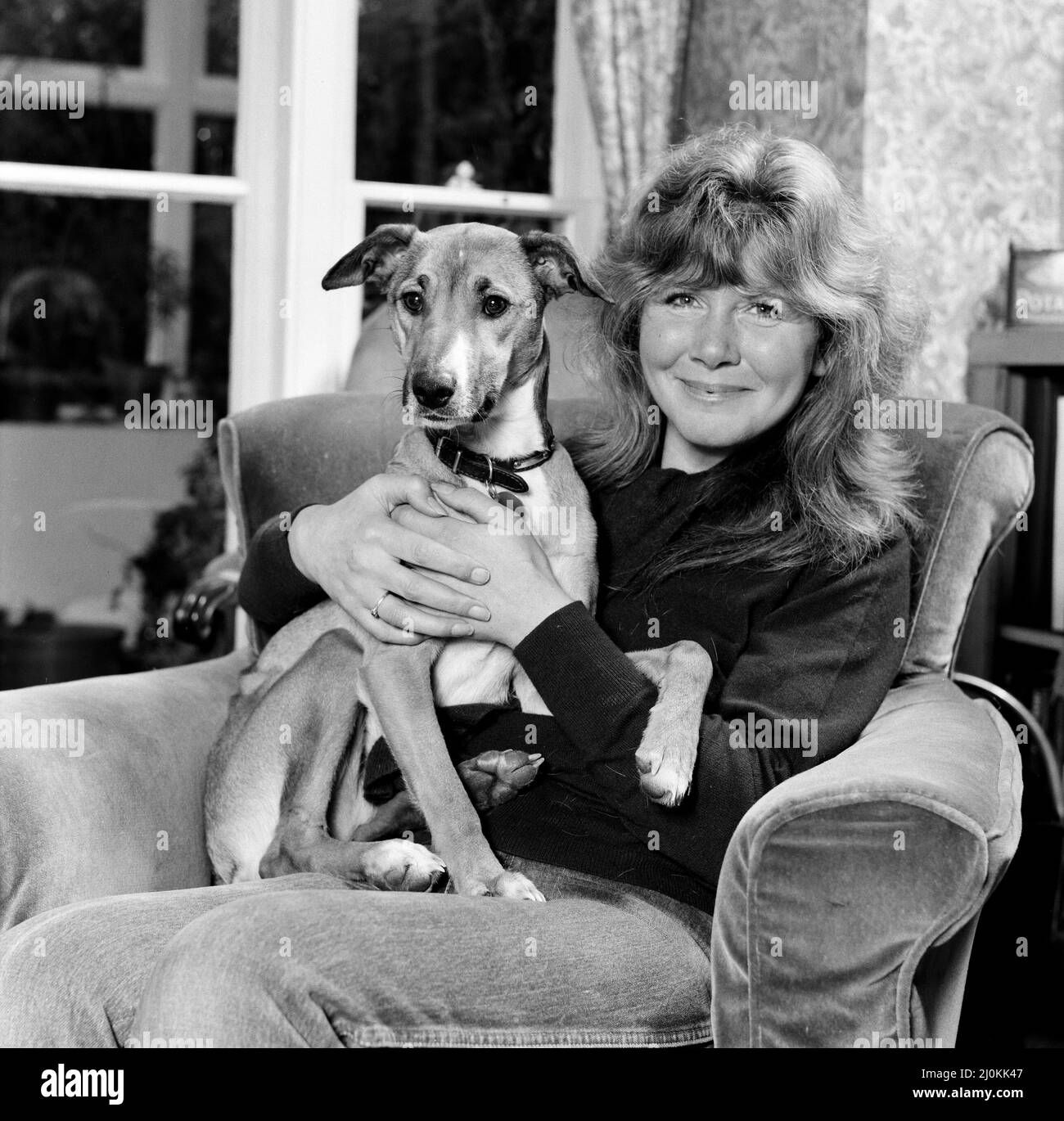 The Crufts show from 12th-14th February will have a new feature this year. Six personalities who each have a pet dog will make personal appearances at the show in aid of the S.P.A.R.K.S charity. Jilly Cooper with one of her dogs, Barbara, a one-year-old mongrel. 19th January 1982. Stock Photo