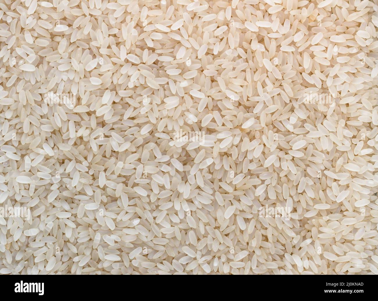 Uncooked rice background Stock Photo