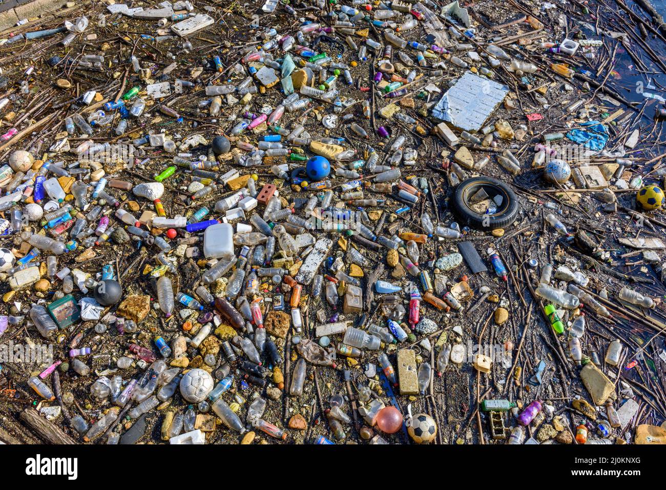 Floating waste debris at Salford Quays, Manchester, England, UK Stock
