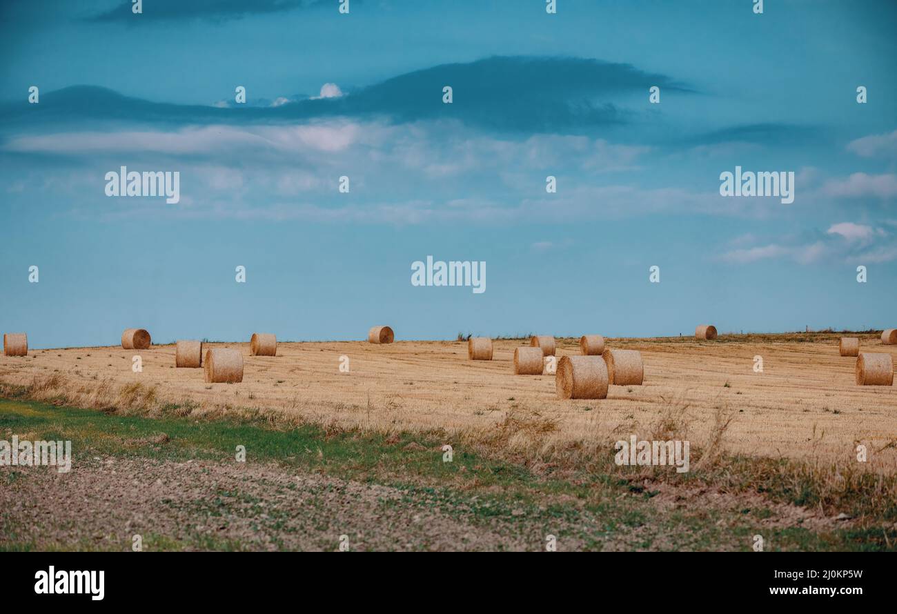 Straw bales stacked in a field at summer time Stock Photo - Alamy