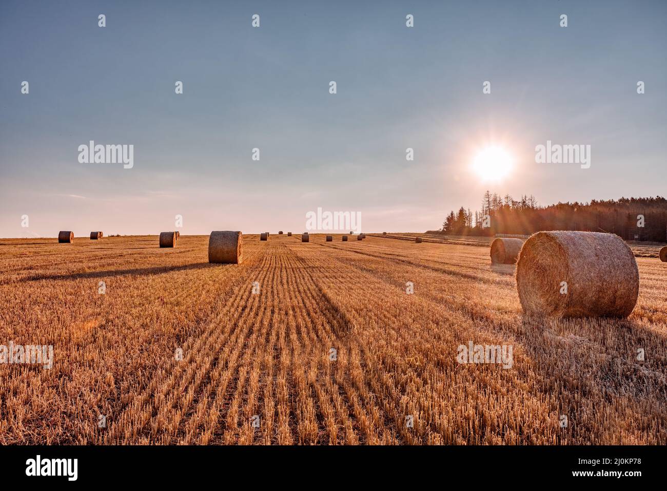 Straw bales stacked in a field at summer time in sunset Stock Photo - Alamy