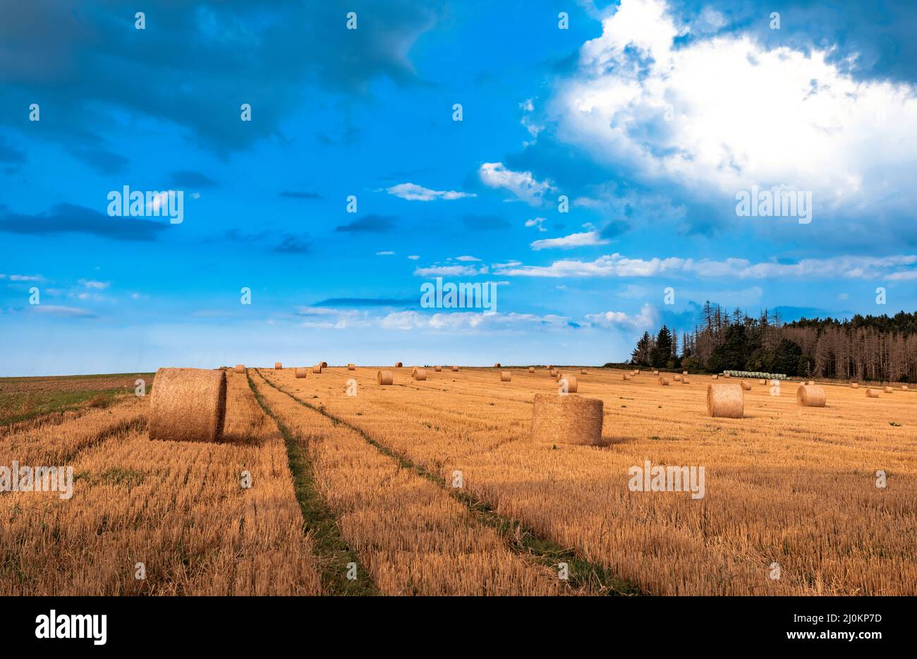 Straw bales stacked in a field at summer time Stock Photo - Alamy