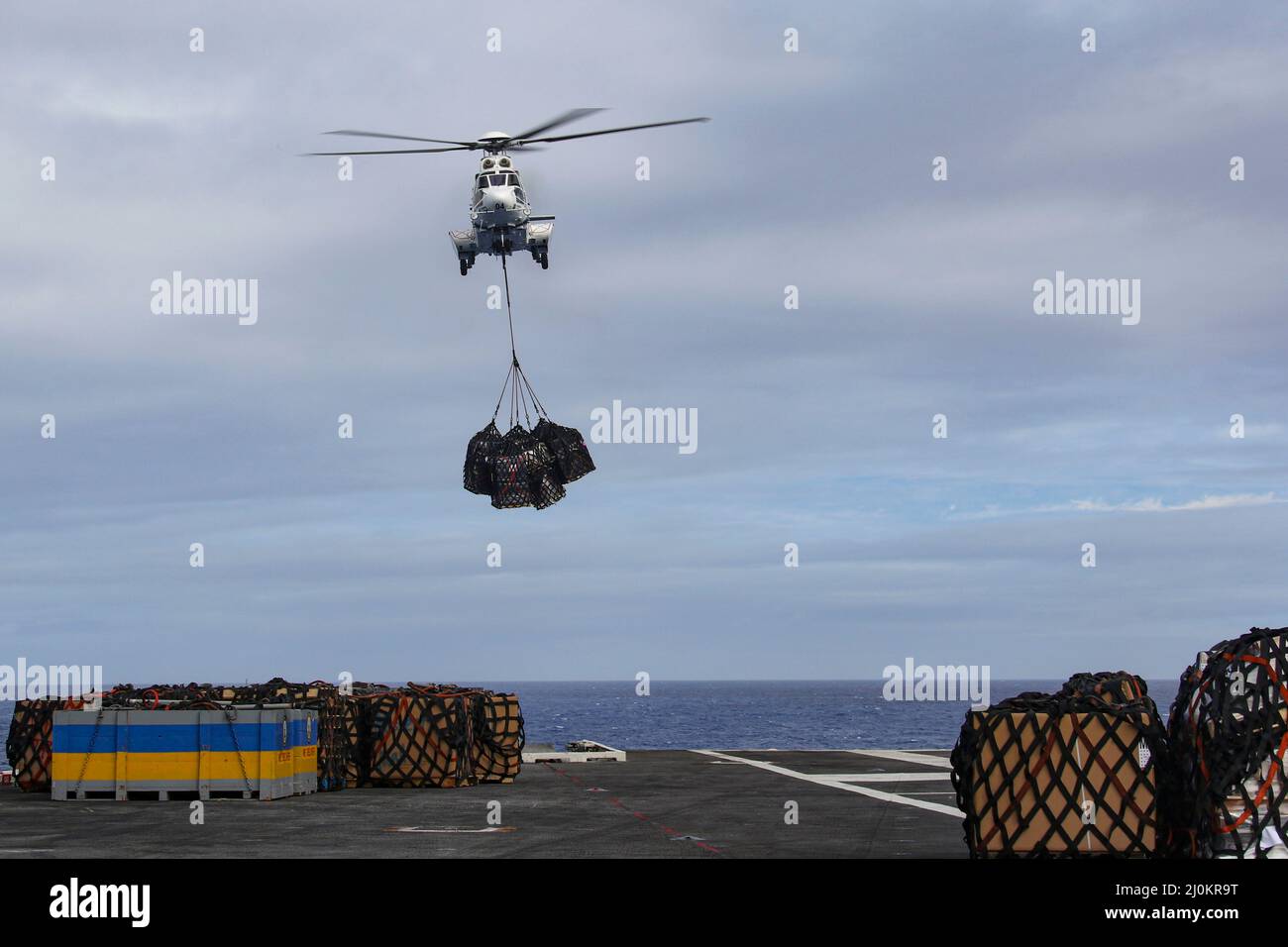 Puma app hi res stock photography and images Alamy