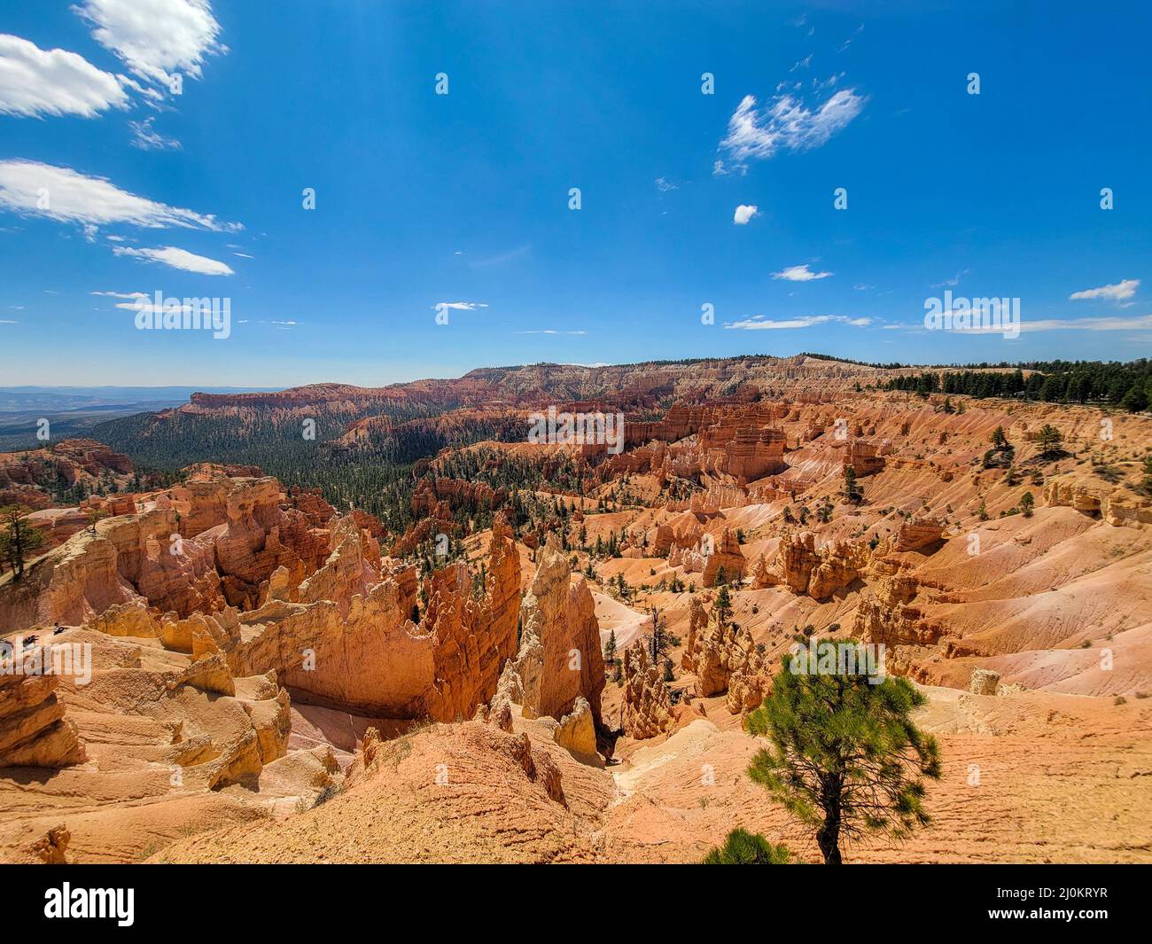 Bryce Canyon National Park Hoodoos Stock Photo - Alamy