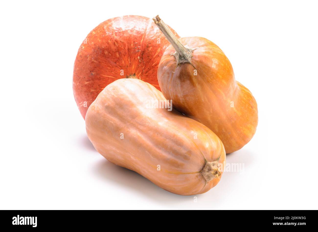 Pumpkin  on white background with soft shadow Stock Photo