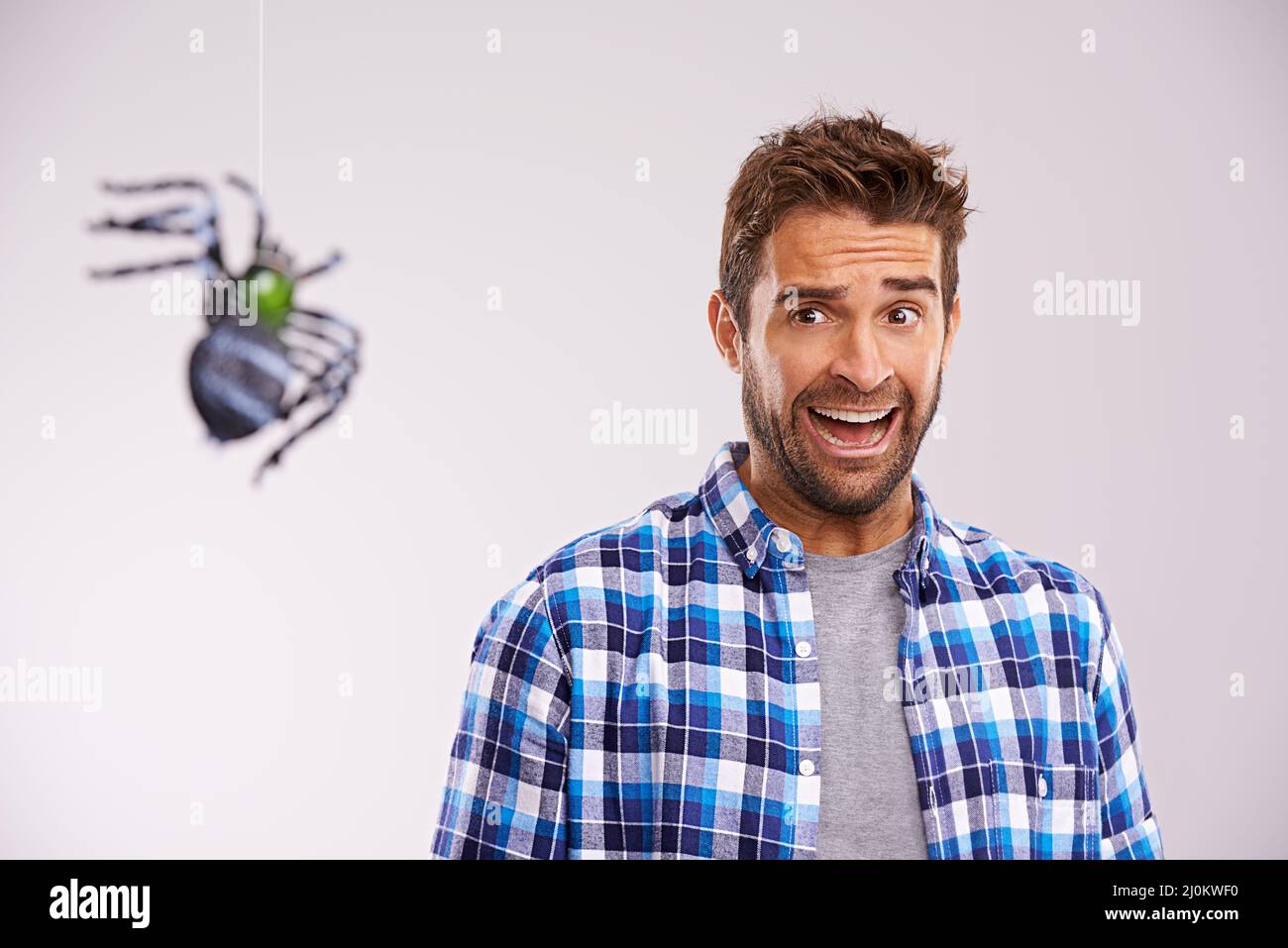 Facing his fears. Studio shot of a young man cowering in terror at a spider against a gray background. Stock Photo