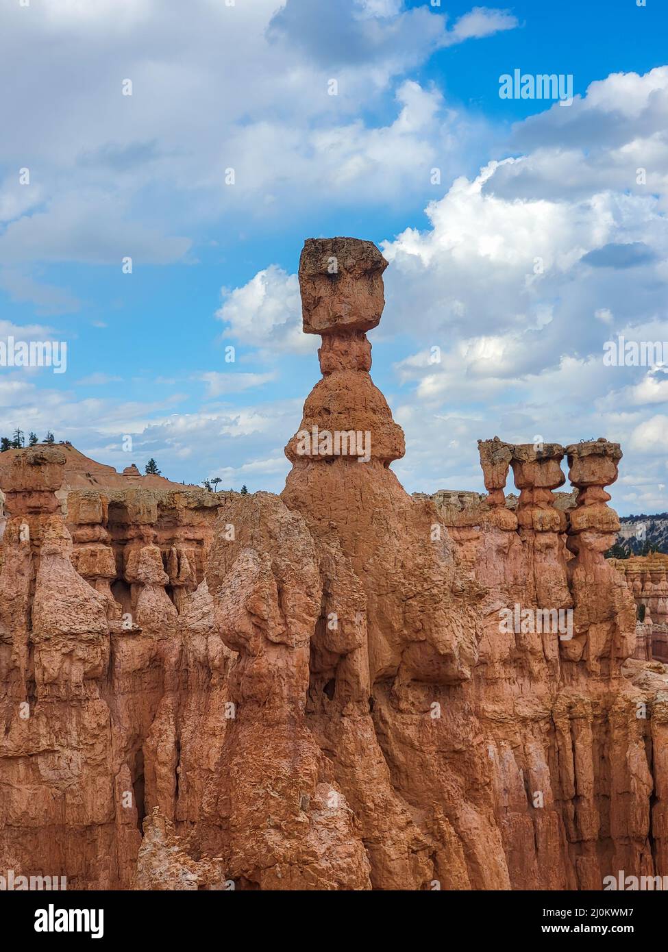 Bryce Canyon National Park Thor's hammer Stock Photo