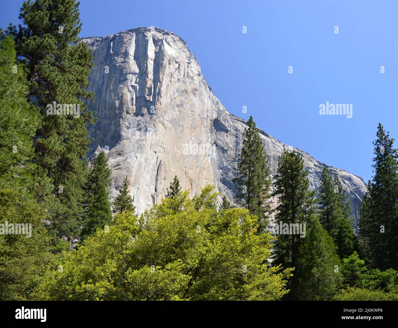 Rock in Yosemite National Park, California Stock Photo