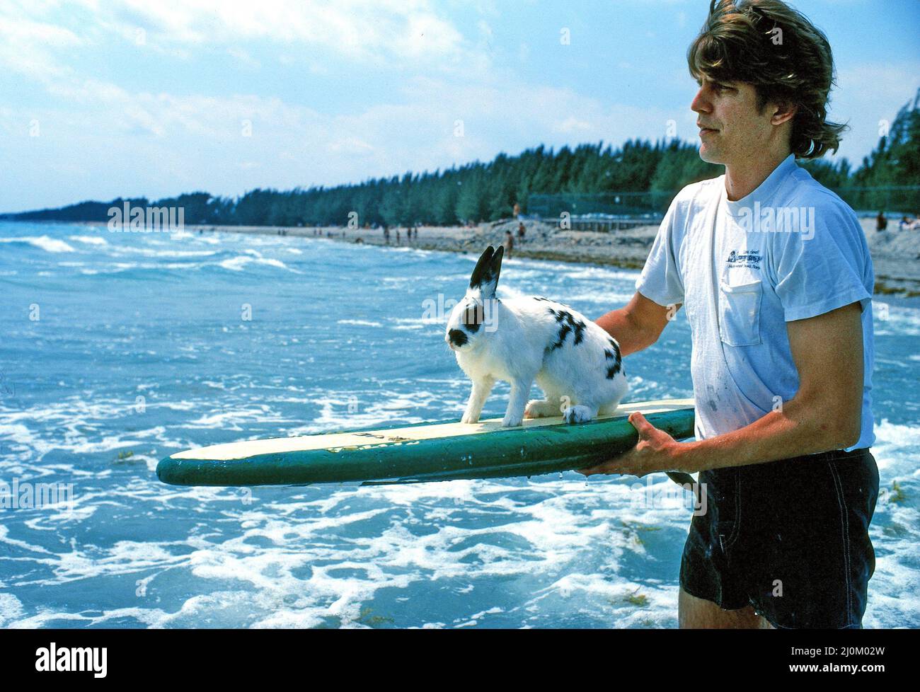 The Rabbit Surfer 1981 in the picture hi-res stock photography and images - Alamy