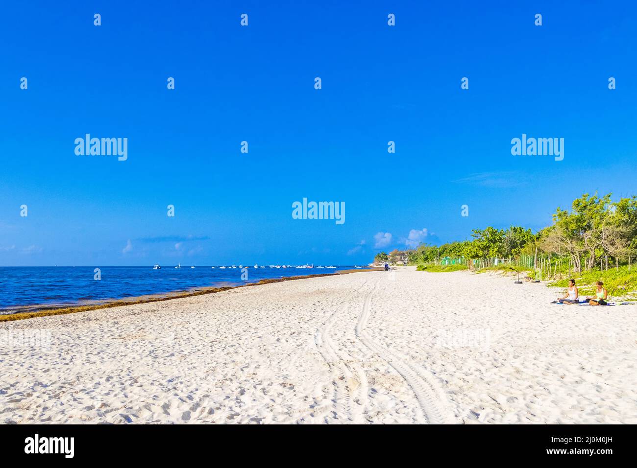 Tropical mexican beach with palm trees Playa del Carmen Mexico. Stock Photo