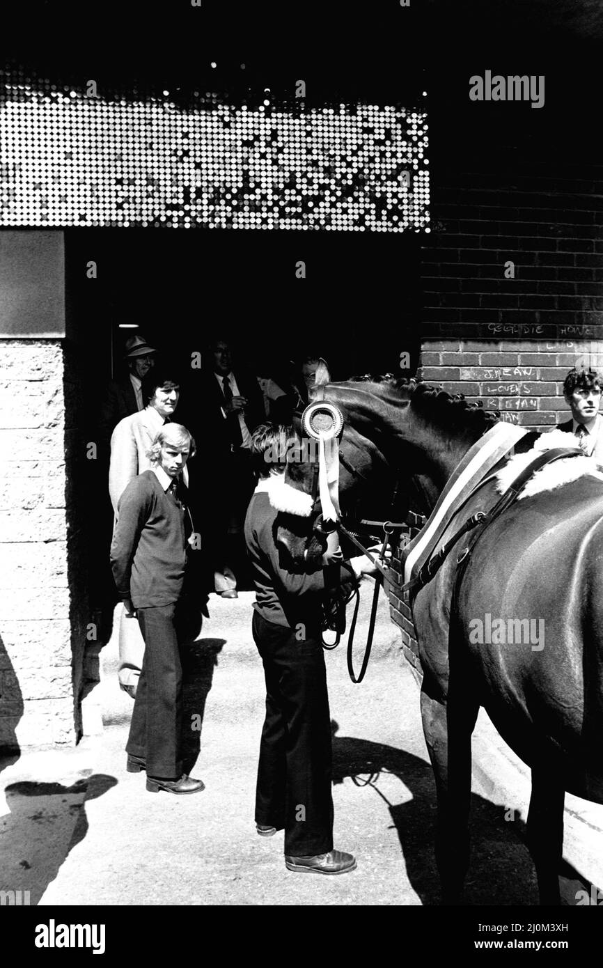 Three times Grand National winner Red Rum arrives for opening the Rum