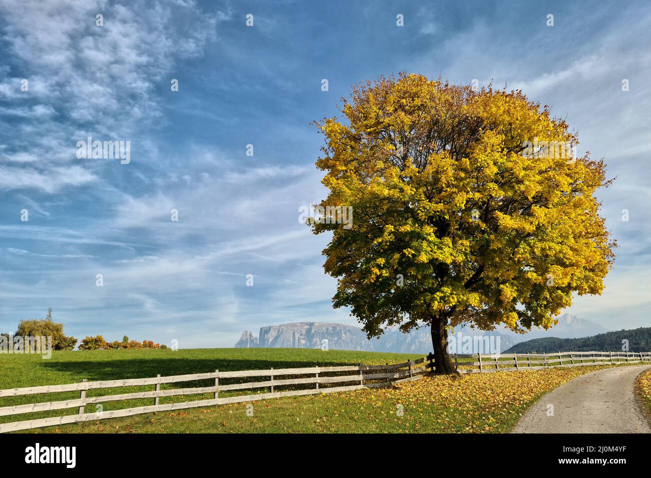 Golden autumn fields hi-res stock photography and images - Alamy