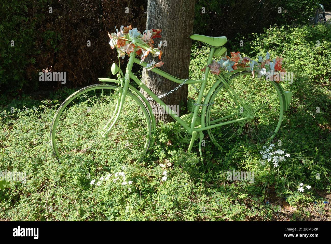 Green bike with flower decoration Stock Photo Alamy