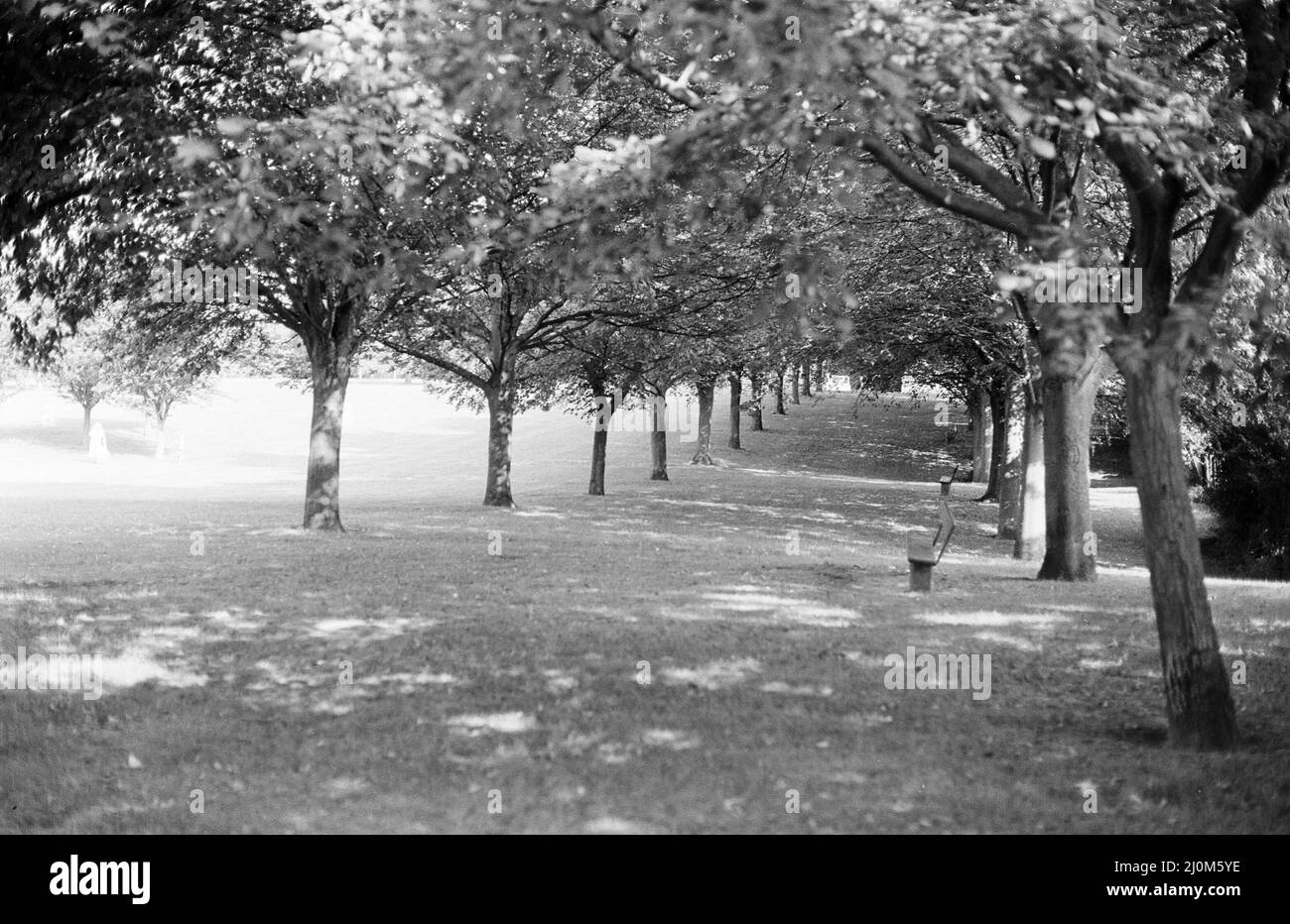 Arthur Newbery Park, Tilehurst, Reading, Berkshire, September 1980