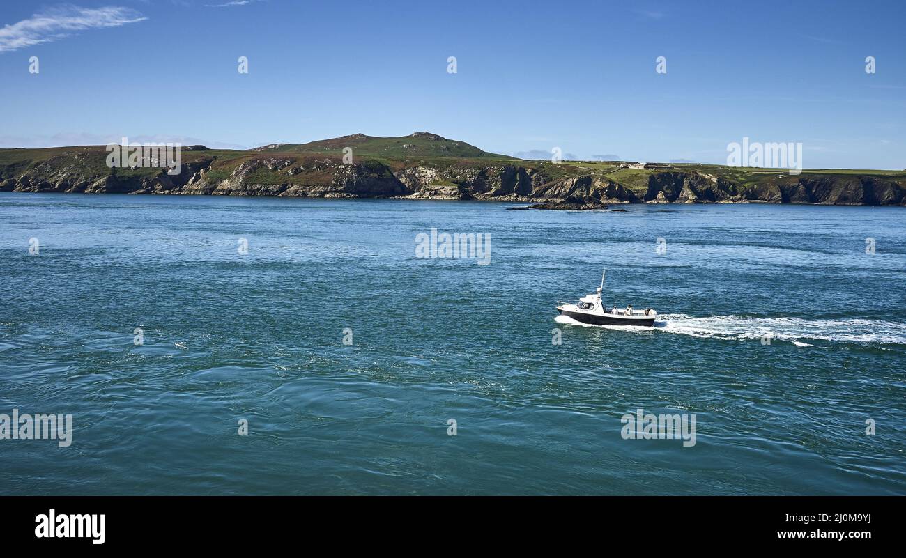 UK - South Wales - Ramsey Island Stock Photo