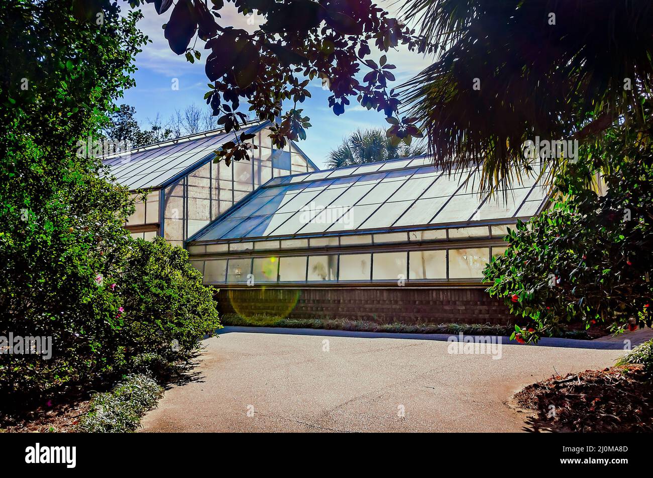 The Bellingrath Gardens conservatory is pictured, March 4, 2022, in Theodore, Alabama. The coal-heated hothouse was built in 1935. Stock Photo