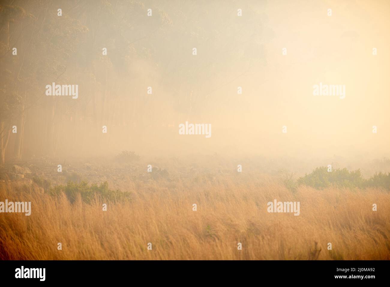 Where theres smoke, theres fire. Shot of a wild fire burning in the distance. Stock Photo