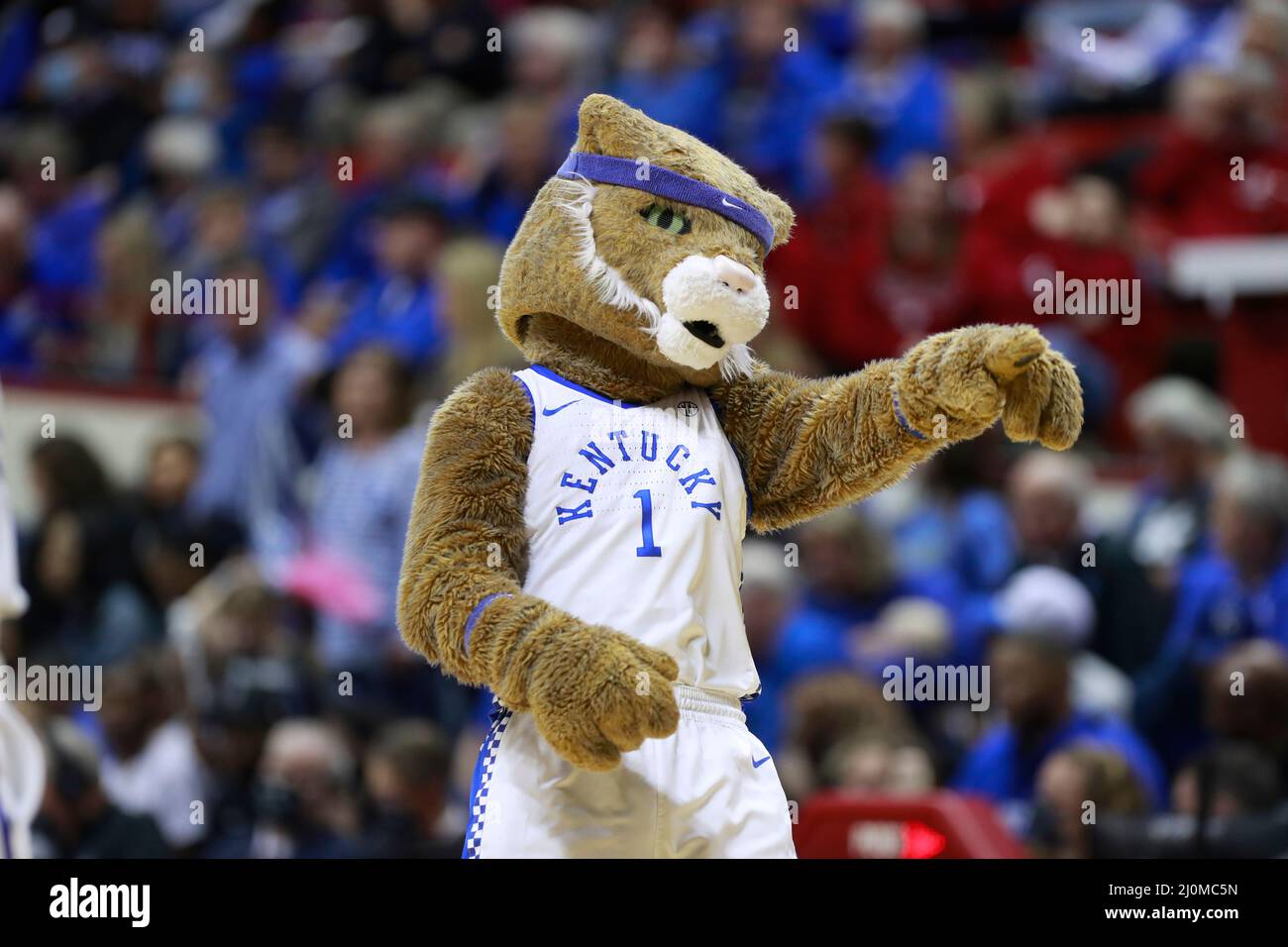 Kentucky Wildcats mascot jerseys