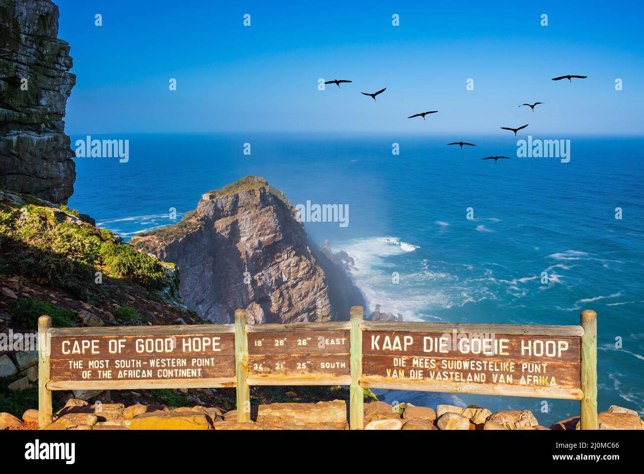 Flock of birds over the raging surf Stock Photo