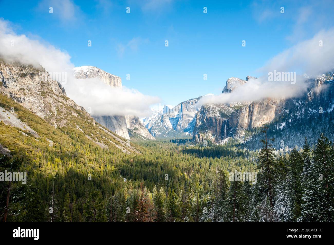 Winter snow scene in Yosemite National Park Stock Photo