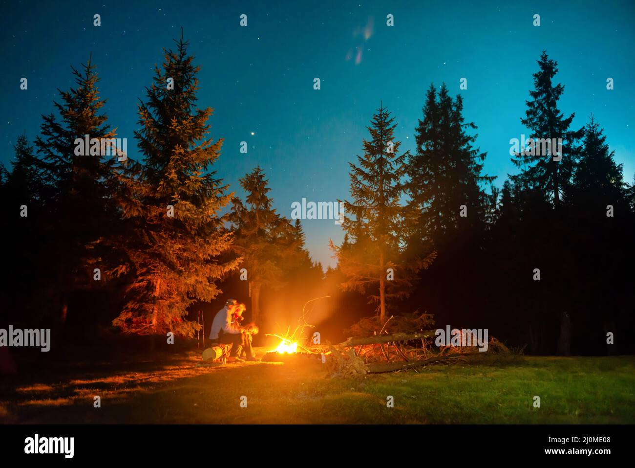Bonfire in night forest with people Stock Photo