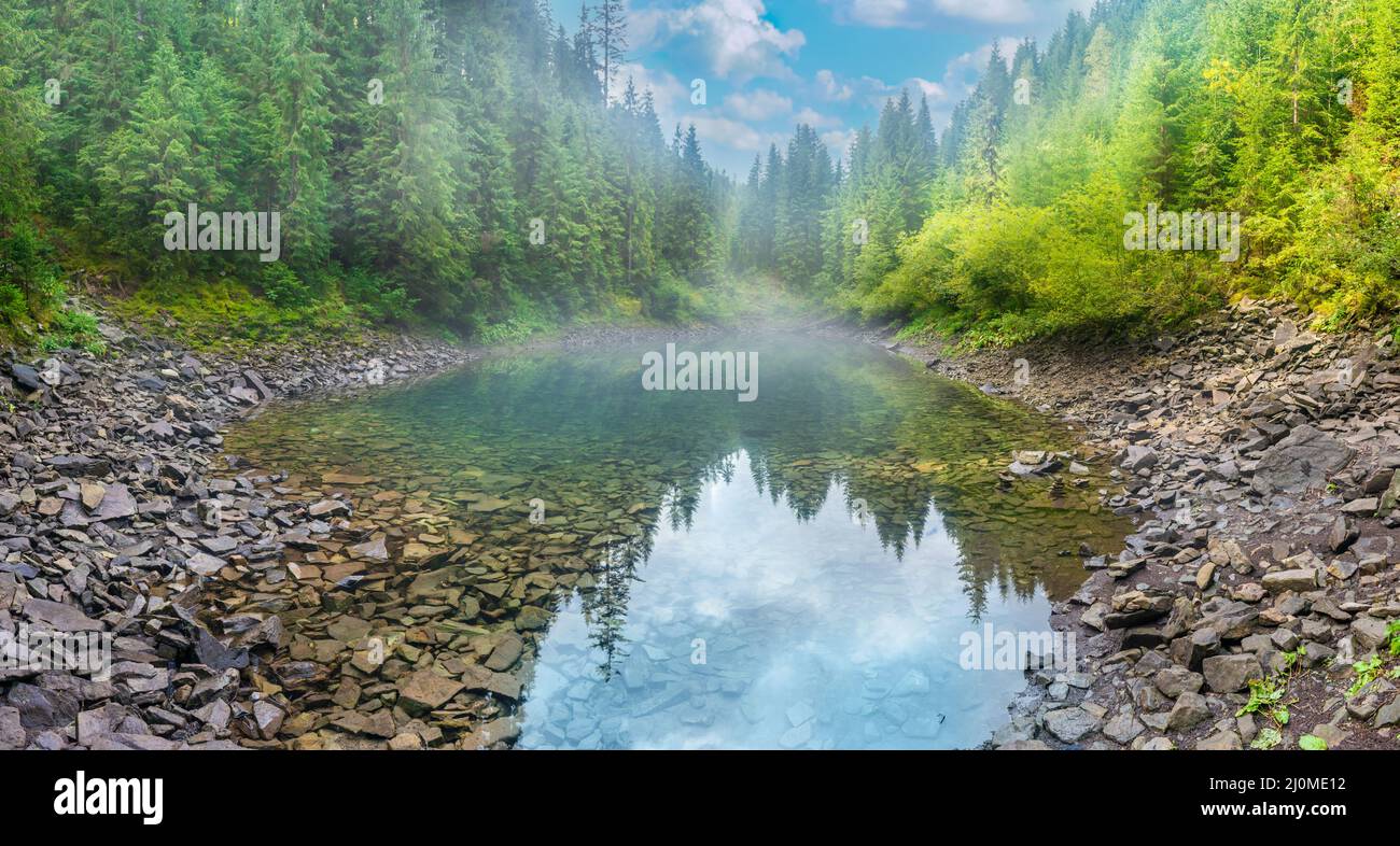 Forest misty blue lake panorama Stock Photo