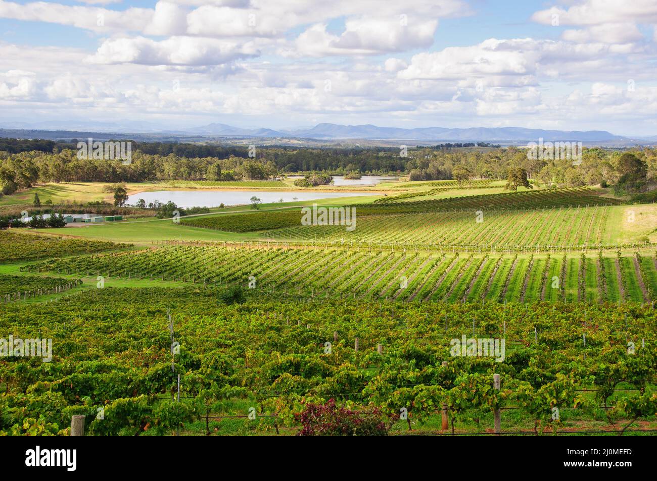 Audrey Wilkinson Vineyard and Cellar Door is one of the oldest wineries