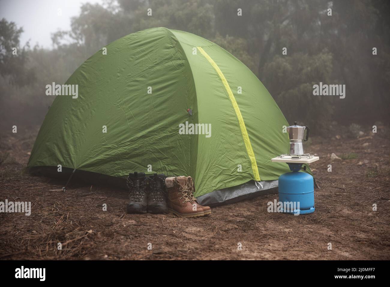 Green tent set up forest Stock Photo