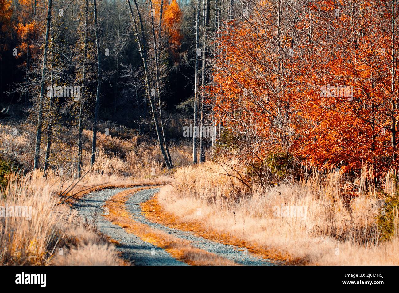 Autumn colored landscape hi-res stock photography and images - Alamy