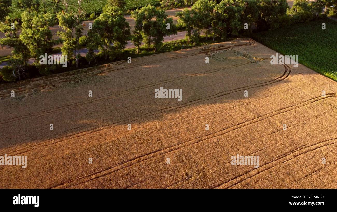 Flying over sowing field hi-res stock photography and images - Alamy