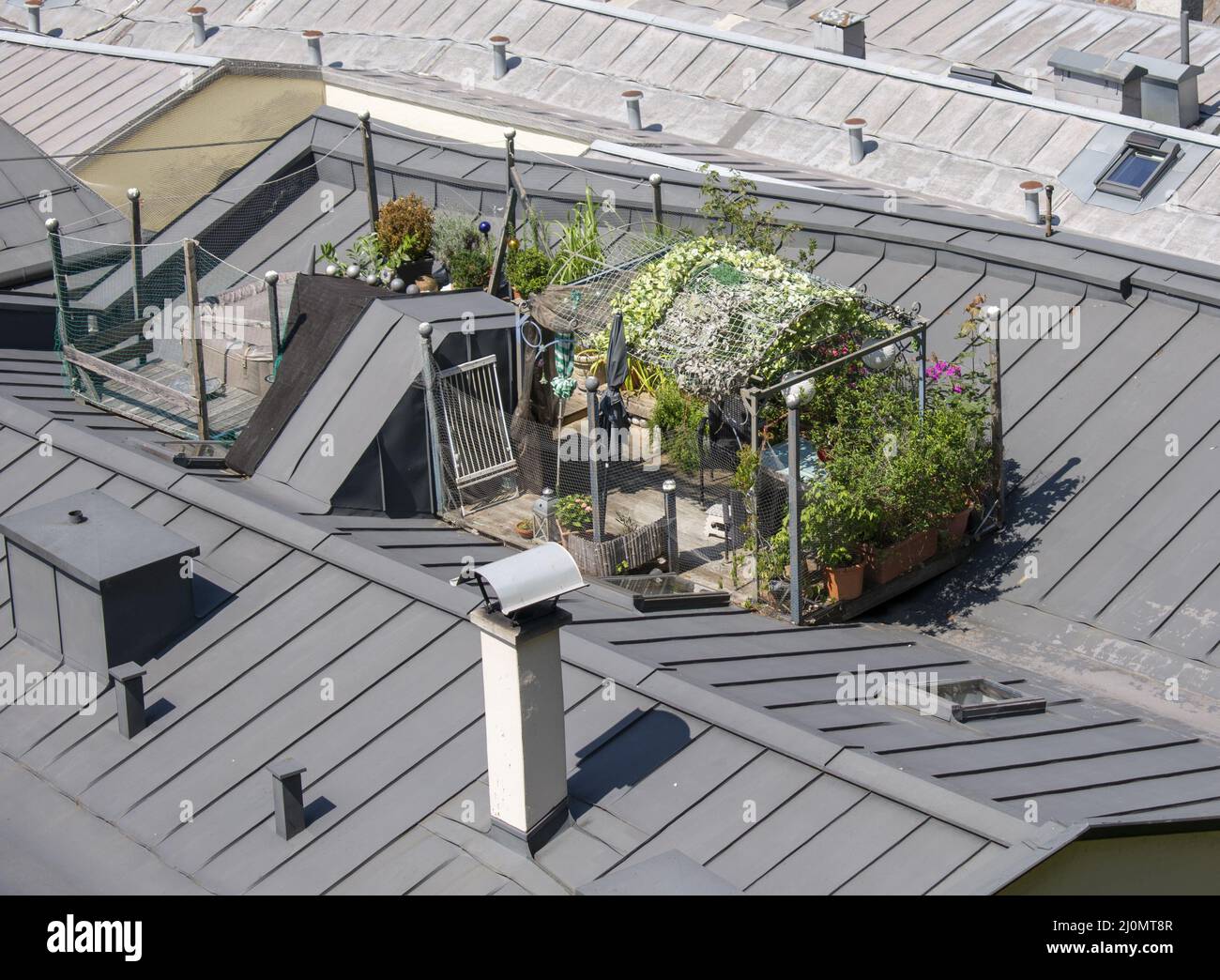 Urban rooftop garden . Green oasis on the top of the roof. Salzburg. Austria. Stock Photo